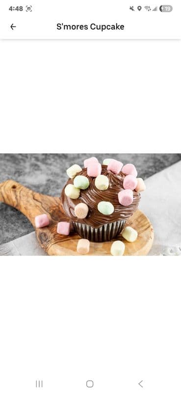 6-Pack S'mores Cupcake