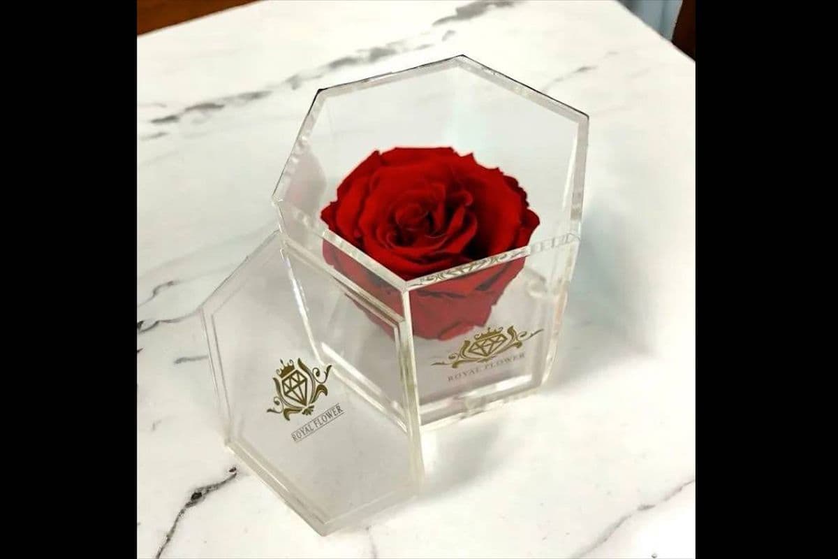 Mini Hexa Crystal - Eternity Rose Box Roses - Last 3 Years