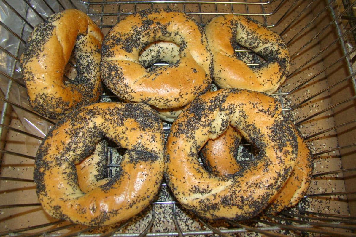 12 x St. Viateur bagel aux graines de pavot / 12 x St. Viateur poppy seed bagel
