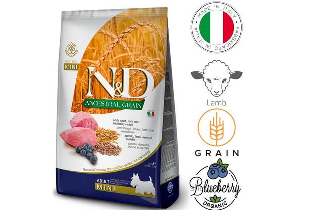 Farmina - Pumpkin Lamb & Blueberry Adult Mini Dry Dog Food (15.4 lb)