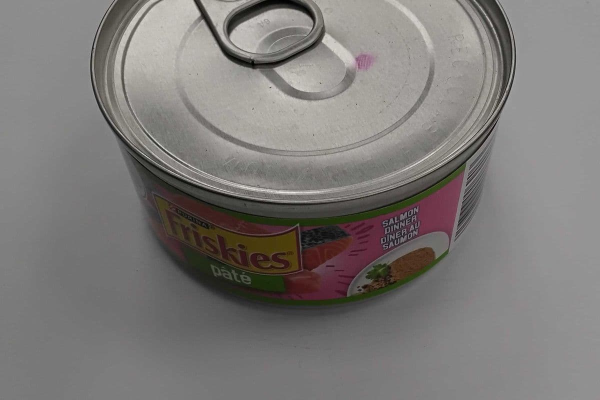 Friskies pate salmon dinner (156g)