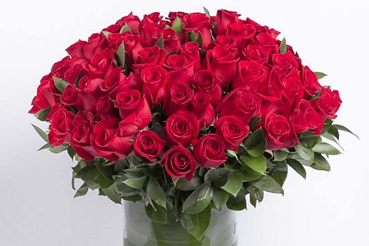 72 Premium Long Stem Red Roses