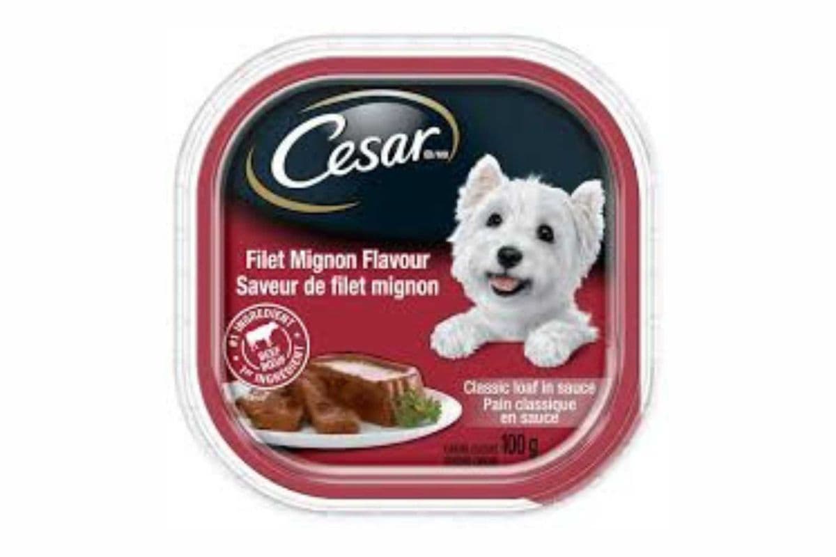 Cesar Filet Mignon Flavour (100 g)