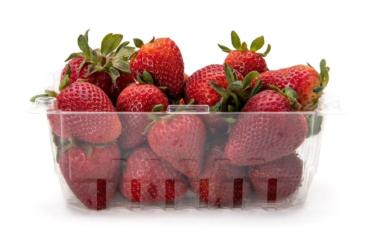 Berries
