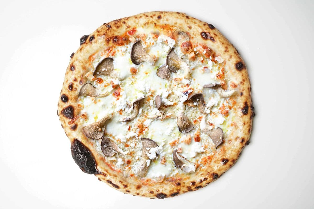 14" Funghi Ostrica Pizza