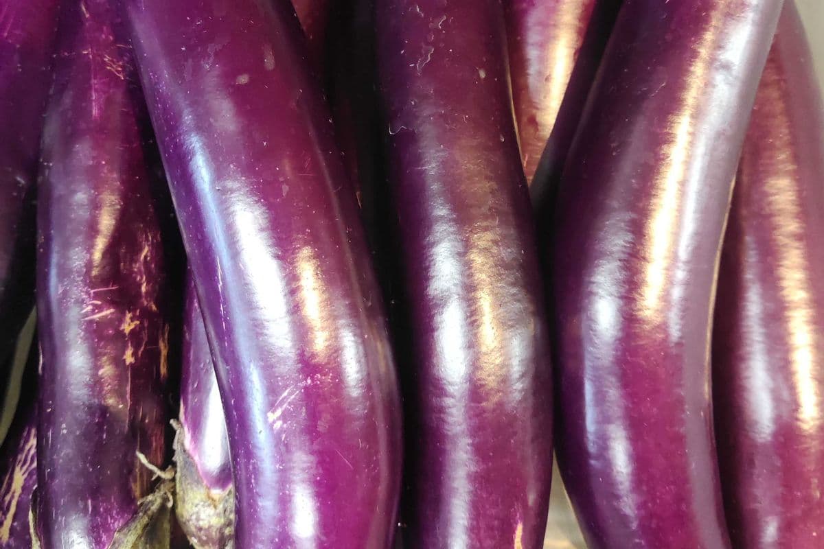 Chinese Egg Plant 2.69/lb-Out-of-stock (1lb)