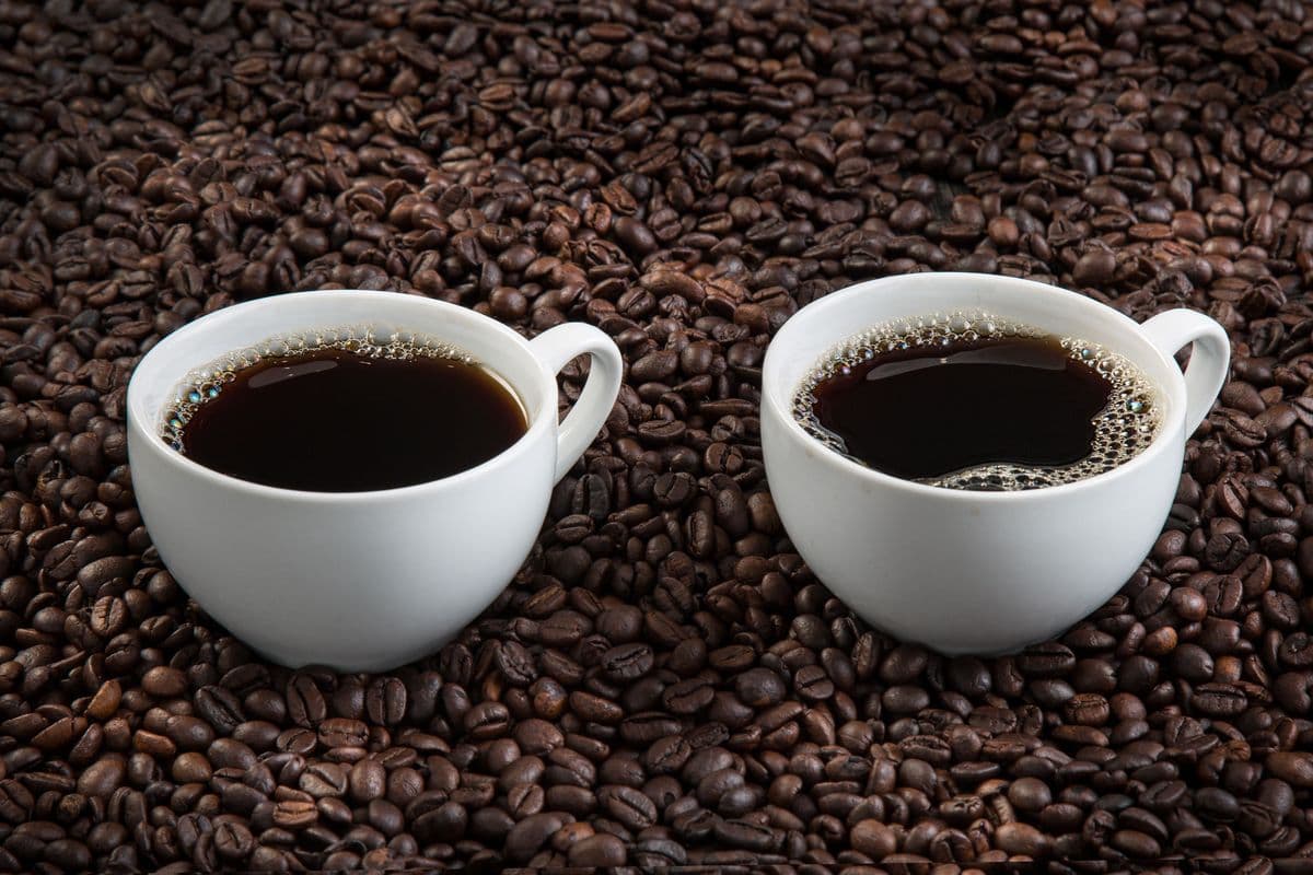 Café filtré Origine
