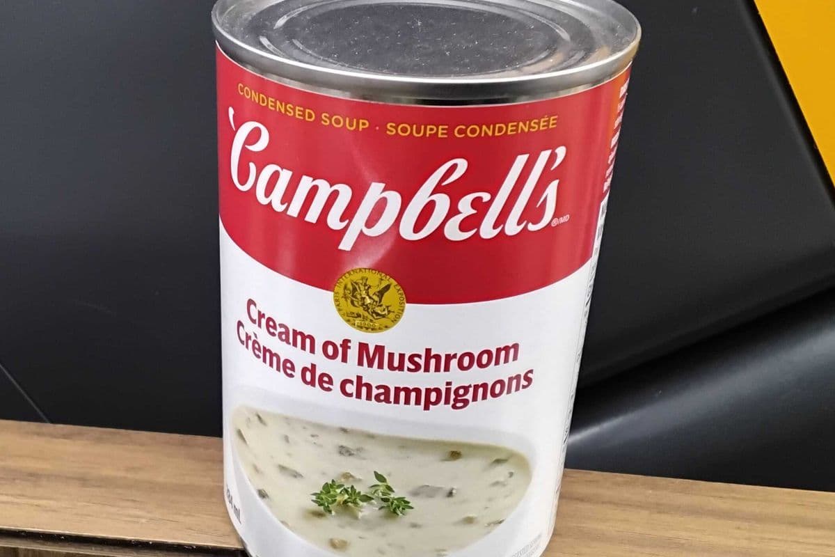 Campbell's cream of mashroom (284ml)