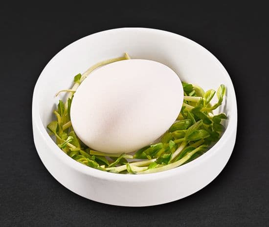 Egg