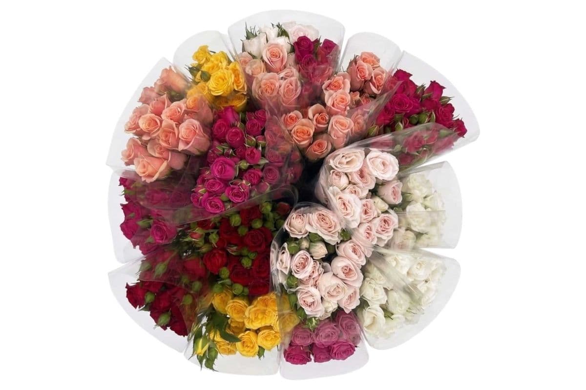 Spray Rose - 4 Stems