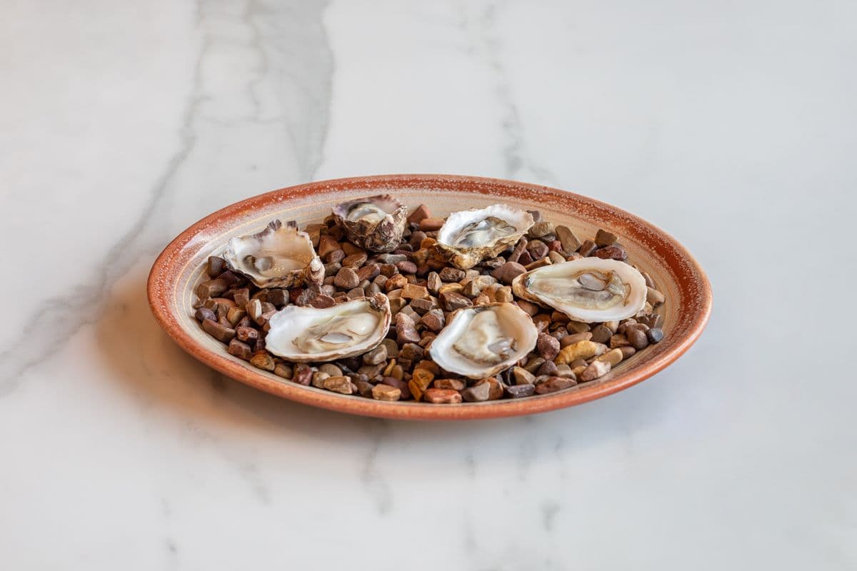 Fresh Shucked Oysters (West Coast)