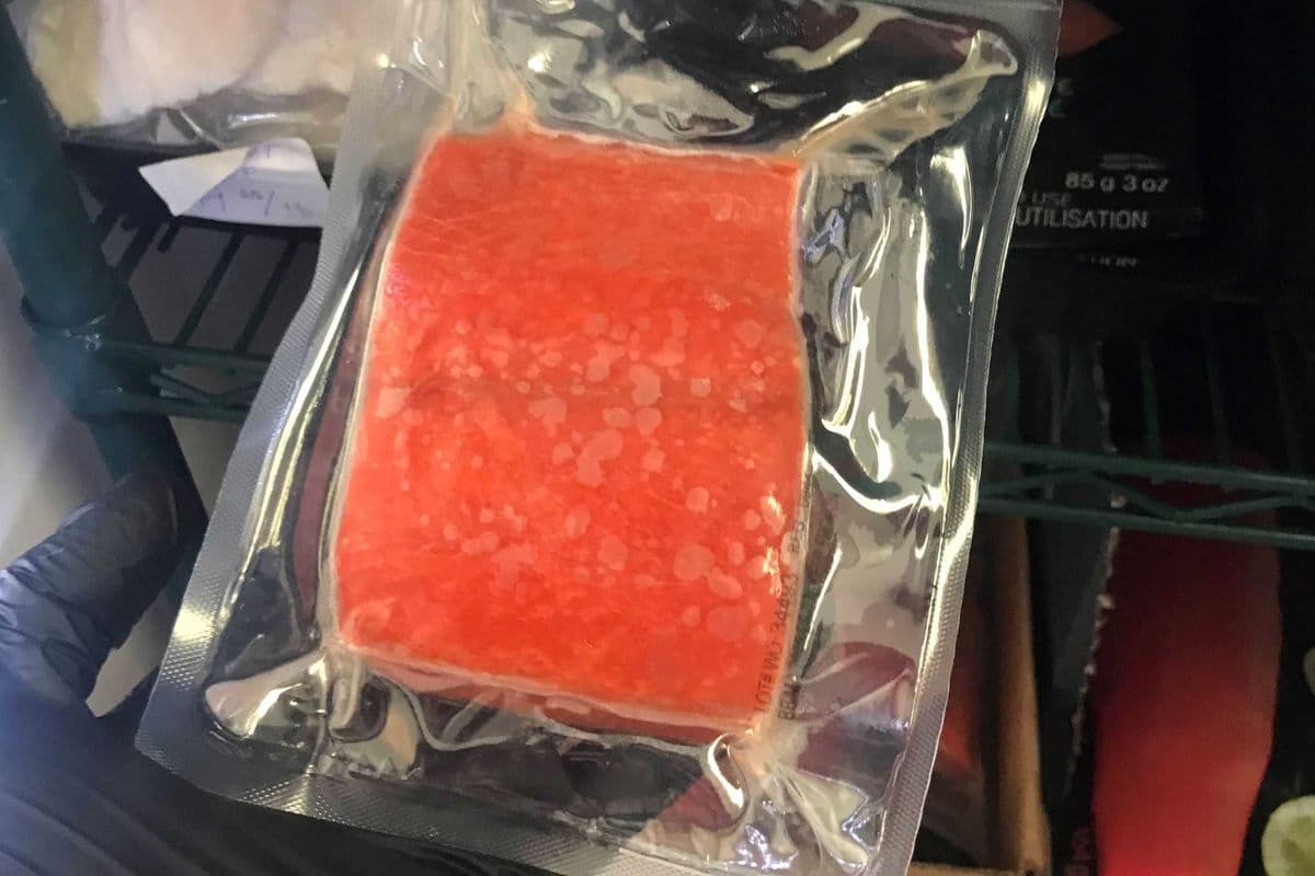 Salmon Fillet - Meal-size Piece