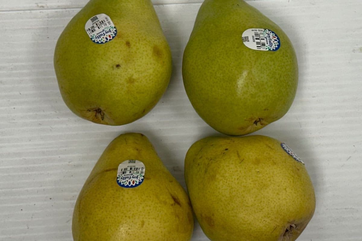 Anjou Pears 1.99/Lb - OUT OF STOCK (1lb)