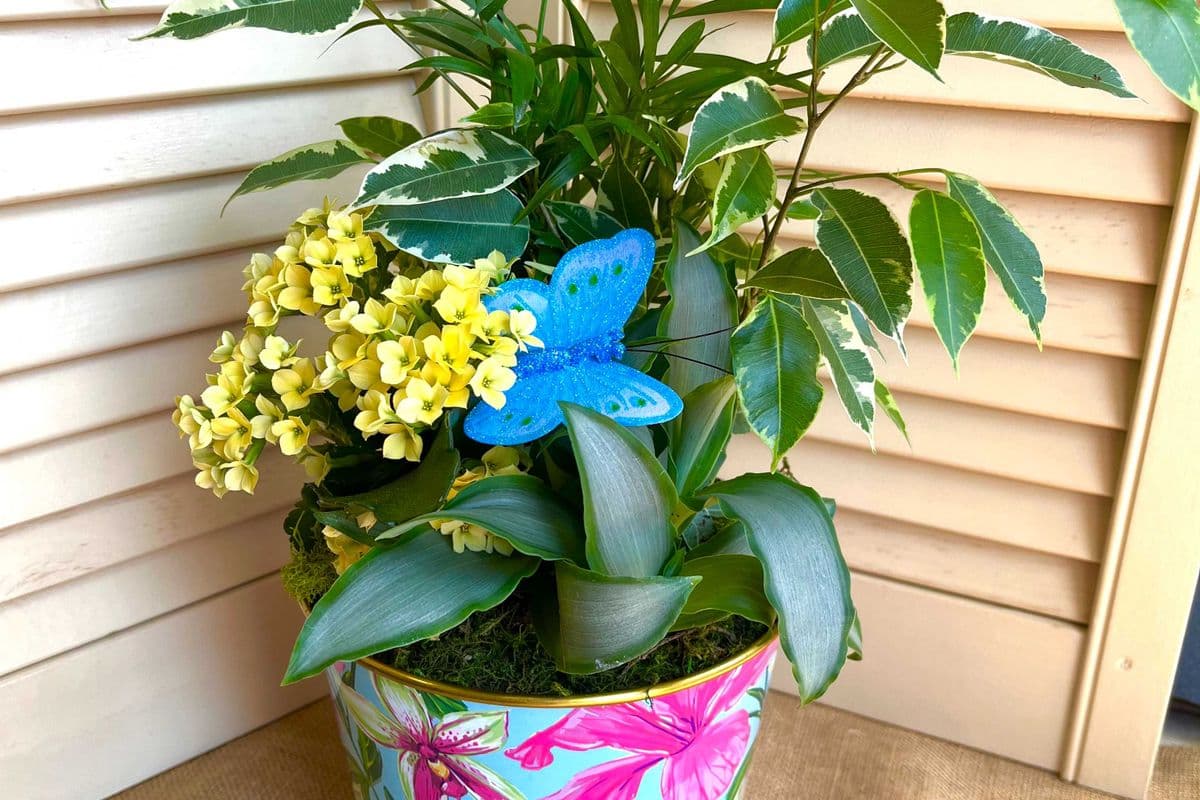 Small Tropical Planter