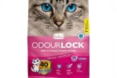 Intersand Odourlock Litière Agglomérant Poudre De Bébé / Intersand Odourlock Litter Clumping Baby Powder (12 kg)