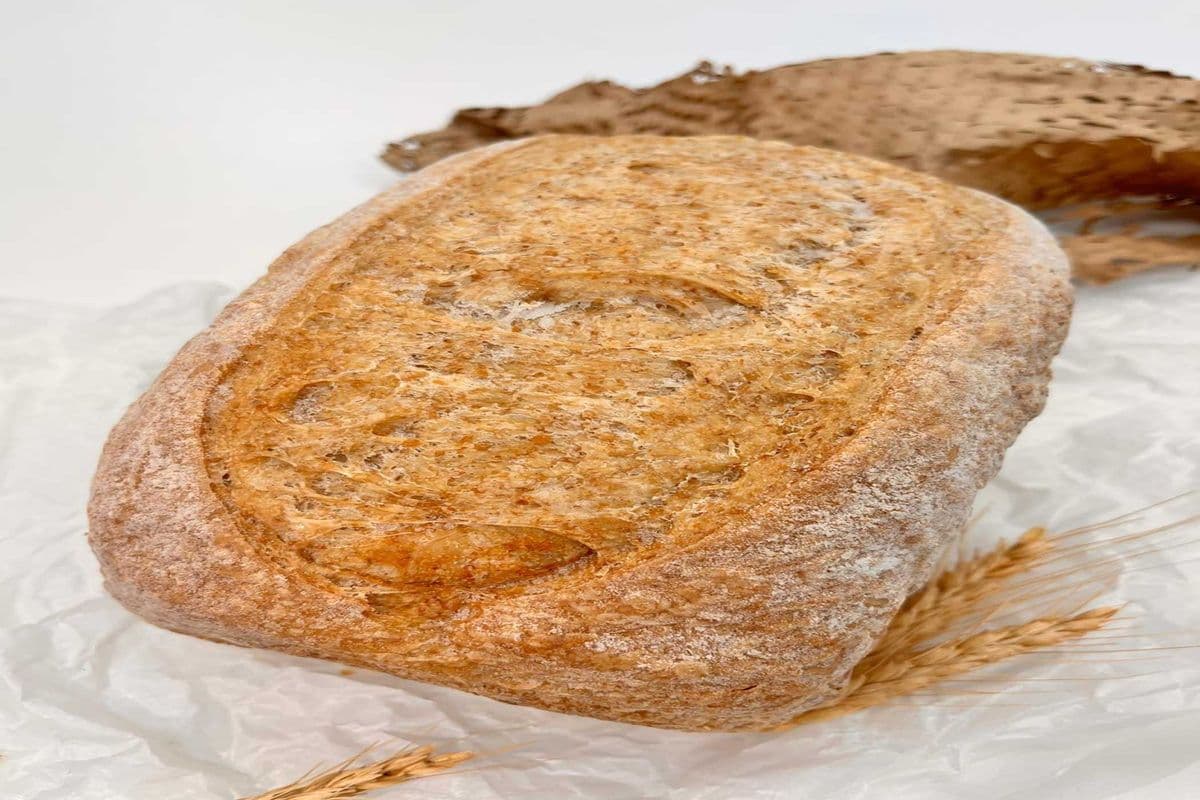 Whole Wheat Sourdough Loaf