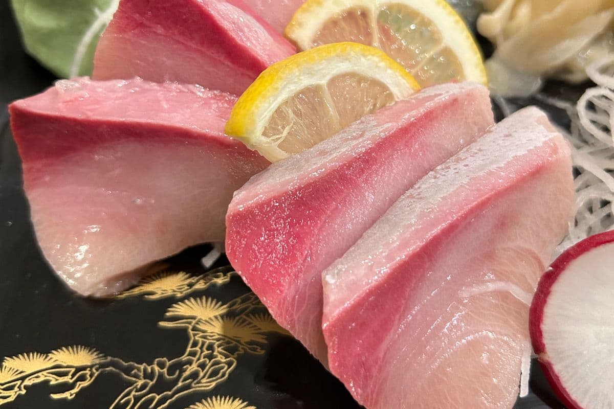 Hamachi Sashimi (5 pieces )