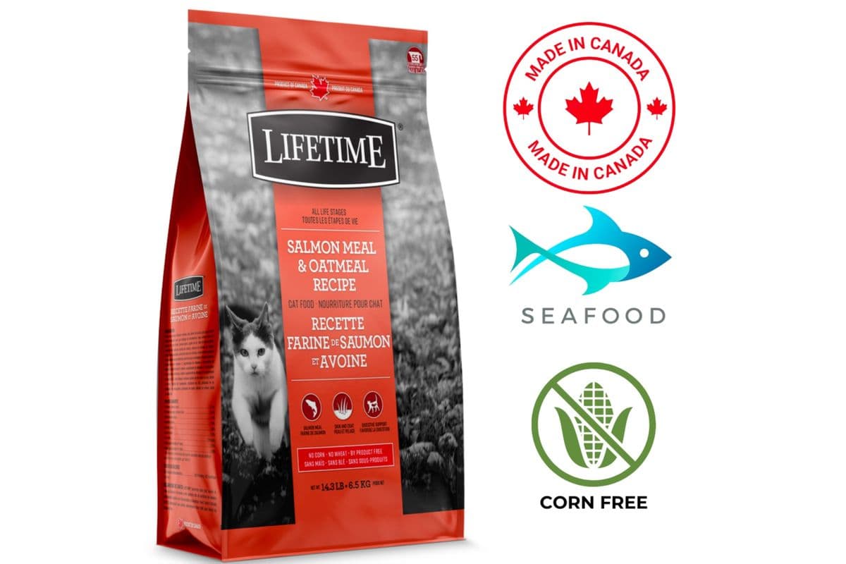 Lifetime - All Life Stages Salmon & Oatmeal Dry Cat Food (6.5 kg)