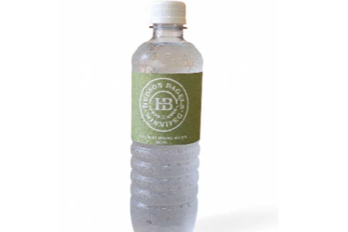 Bottle of Water (500 ml)