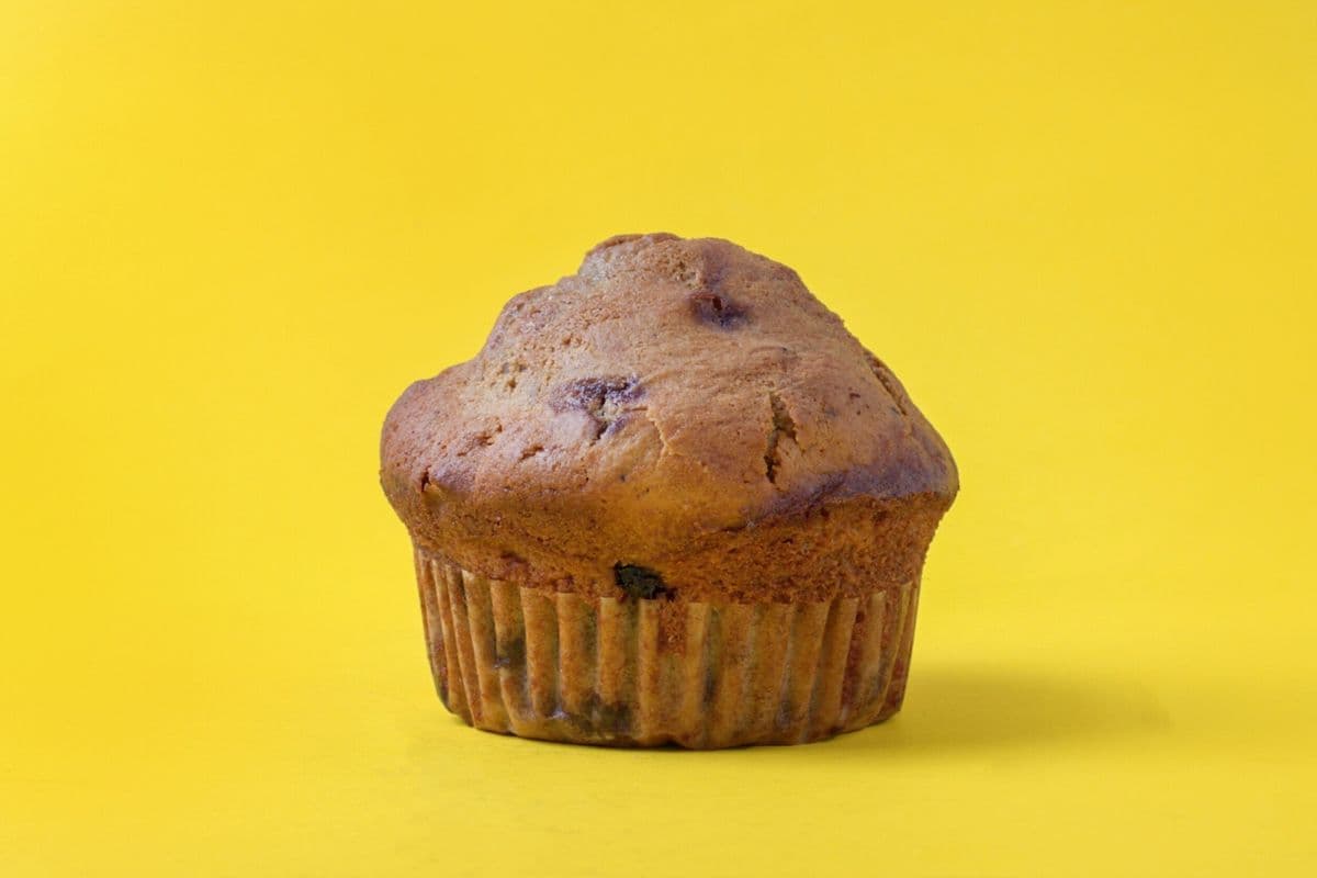 Blueberry Muffin