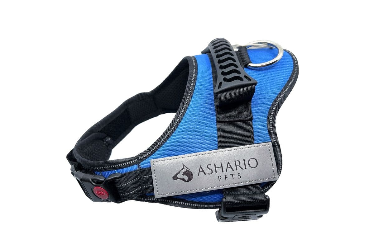 Ashario Pets - "TactiHarness" Reflective No-Pull Design Harness - Blue - XL