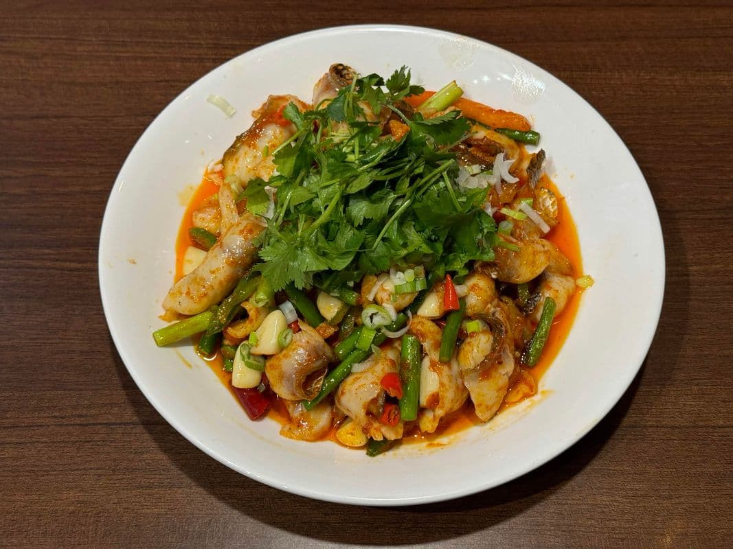 🌶Spicy Stir-Fried Fish Fillets (Snakehead) / 🌶火爆黑鱼片