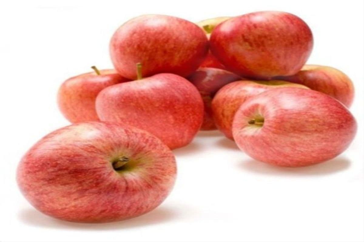 Apple Royal Gala (1lb)