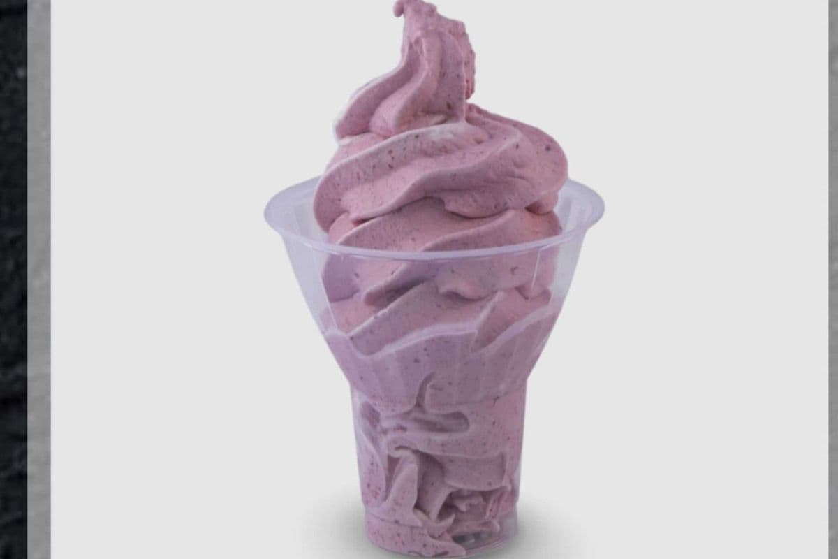 Crème glacée molle aux fruits petit