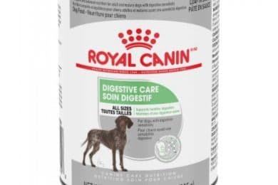 Royal Canin Chien Pâté en Sauce Soin Digestif / Royal Canin Dog Pâté in Sauce Digestive Care (385 g)