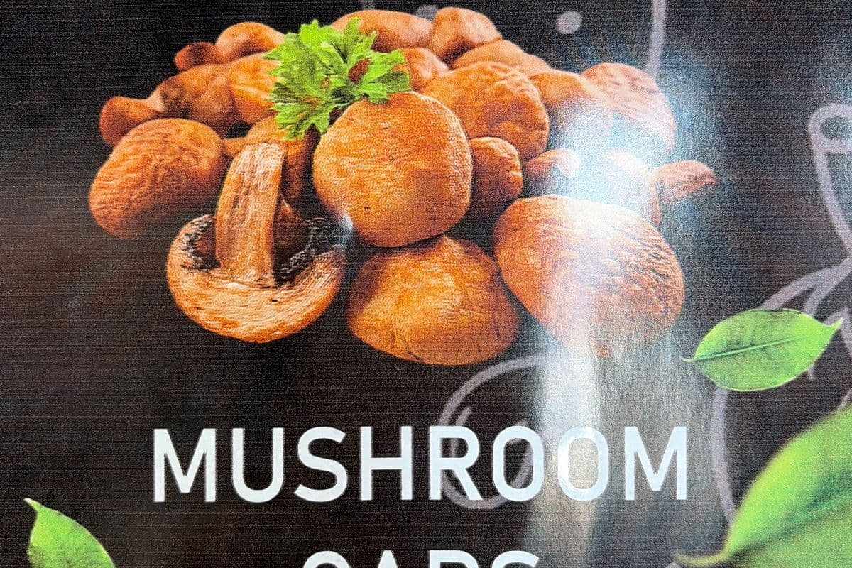 Deep Fried Mushroom Caps