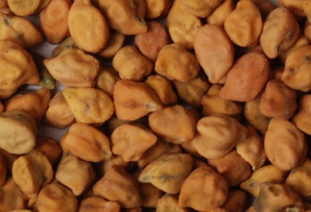 1000 Spices Desi Chickpeas (Kala Channa) (2 lbs)
