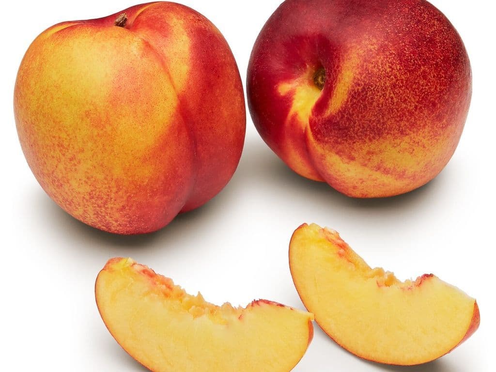 Nectarine-Yellow (5 PCS)