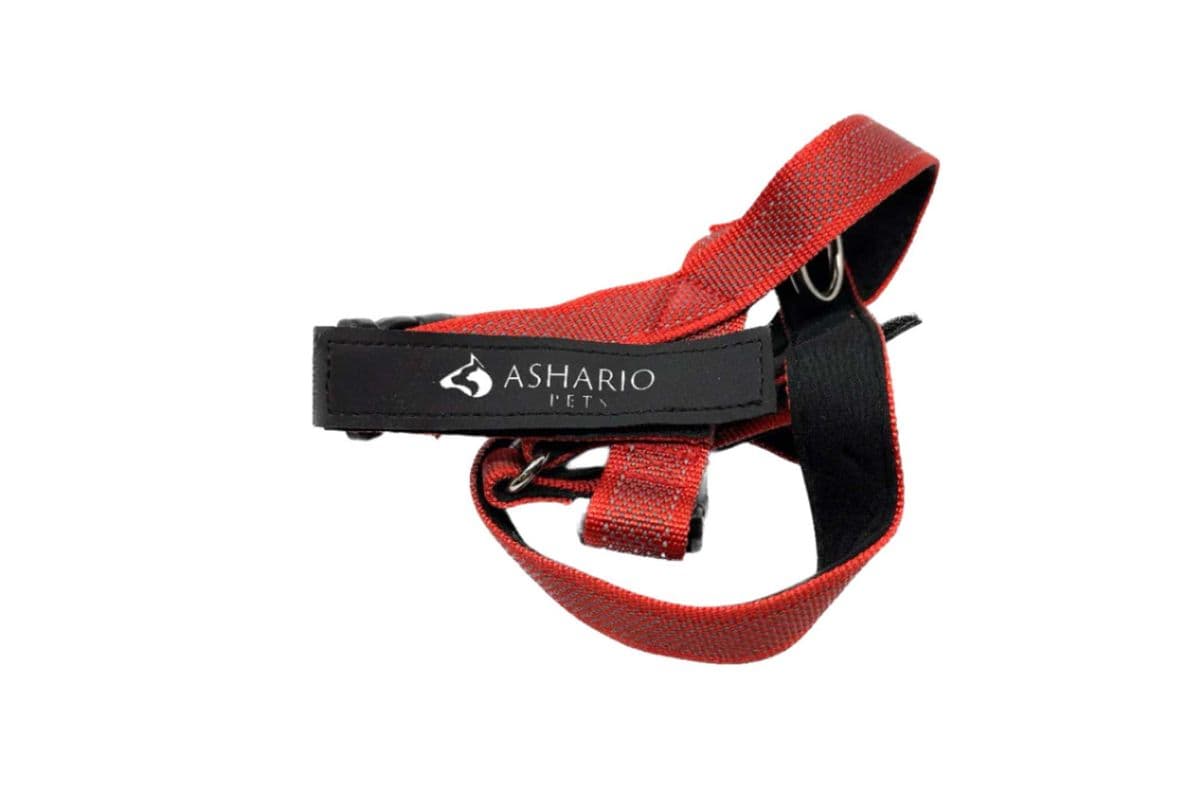 Ashario Pets "BreezyVest" Summer Lightweight Reflective Harness - Red - L (L)