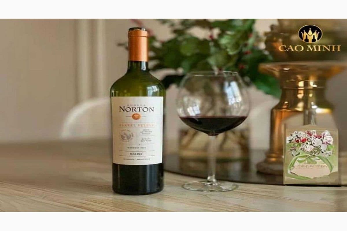 NORTON BARREL MALBEC (1 x 750 ML)