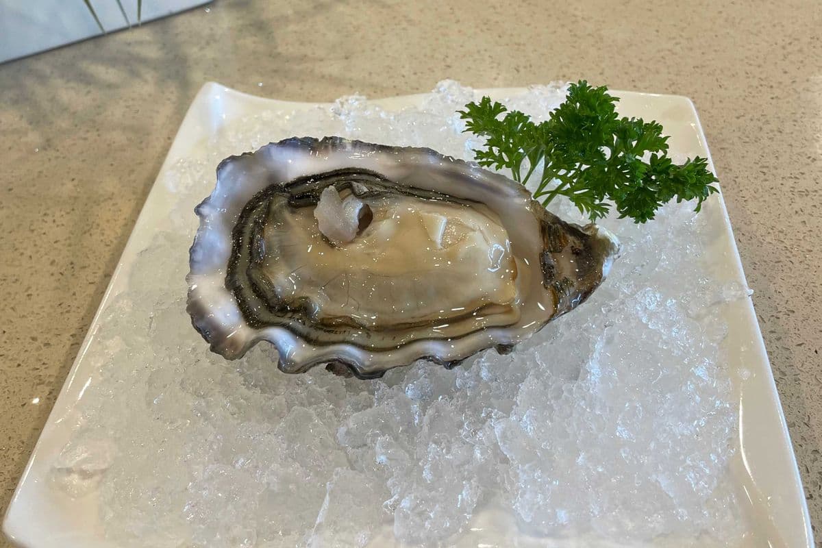 Raw Oyster
