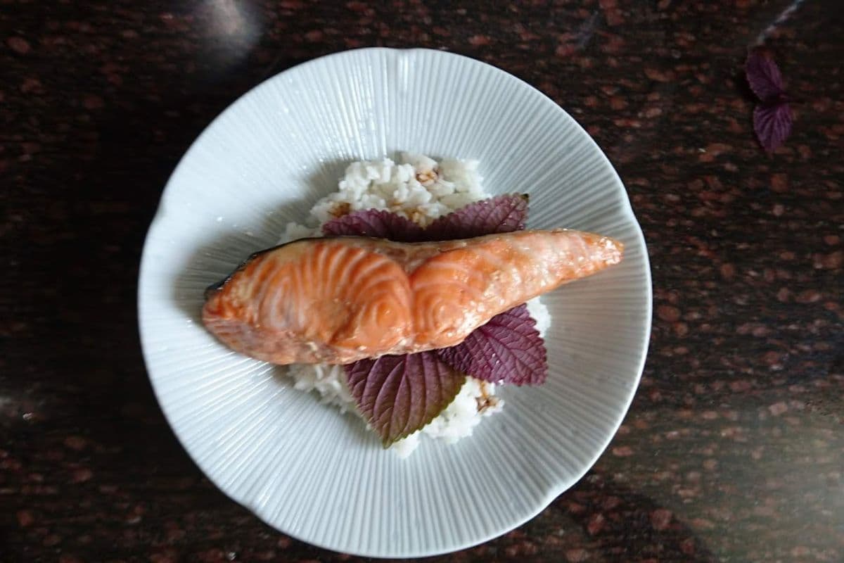 Salmon Teriyaki Don
