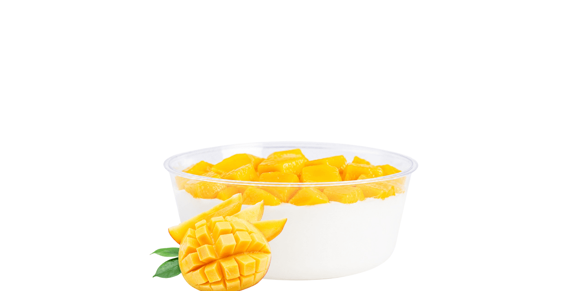 Flan au Lait Mangue