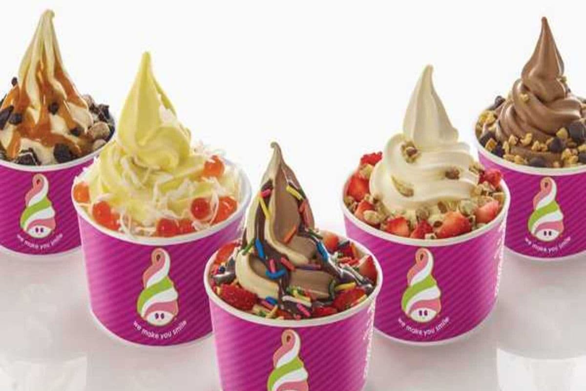 Frozen Yogurt (Small 8 oz)