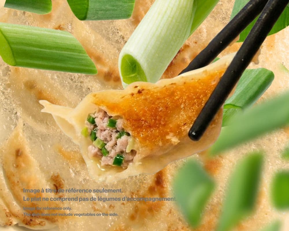 23.Pork & Green Onion Dumpling / Porc & Oignon Vert Gyoza