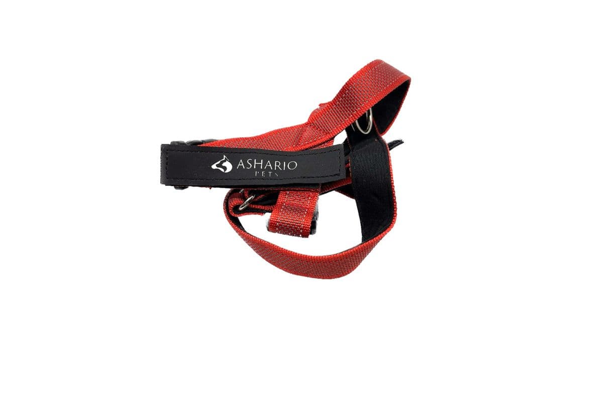 Ashario Pets - "BreezyVest" Summer Lightweight Reflective Harness - Red - XS