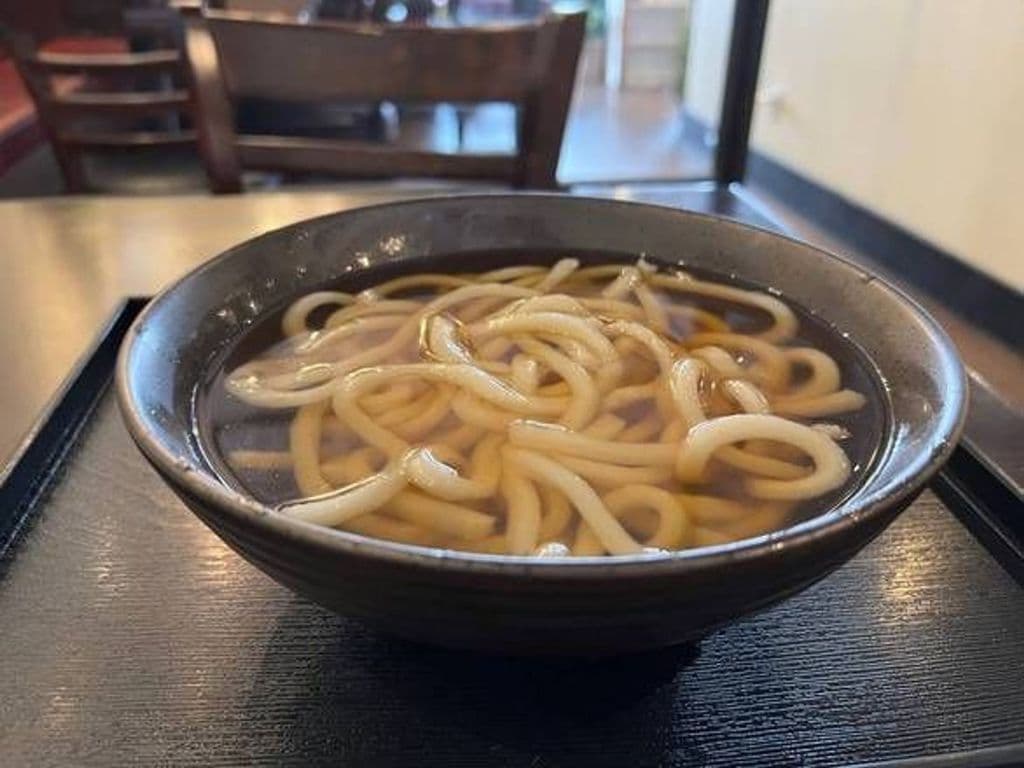 Plain Udon