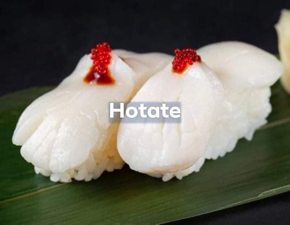 58. Hotate