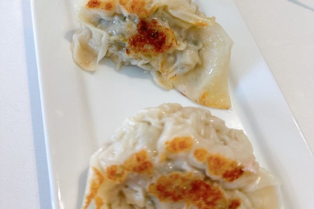 D04. Chicken and Vegetable Dumplings 鸡肉锅貼
