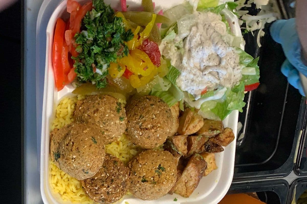 Falafel Platter Platter