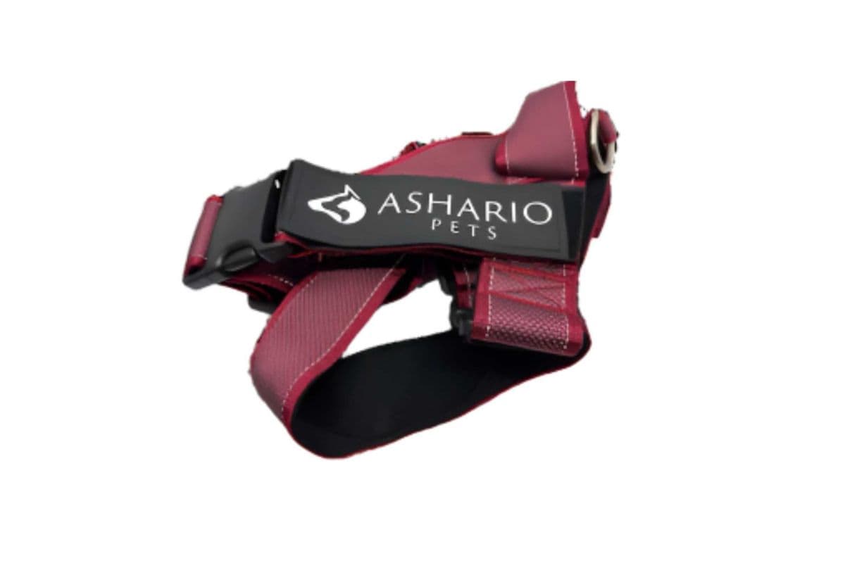 Ashario Pets - "BreezyVest" Summer Lightweight Reflective Harness - Wine Red - M (M)