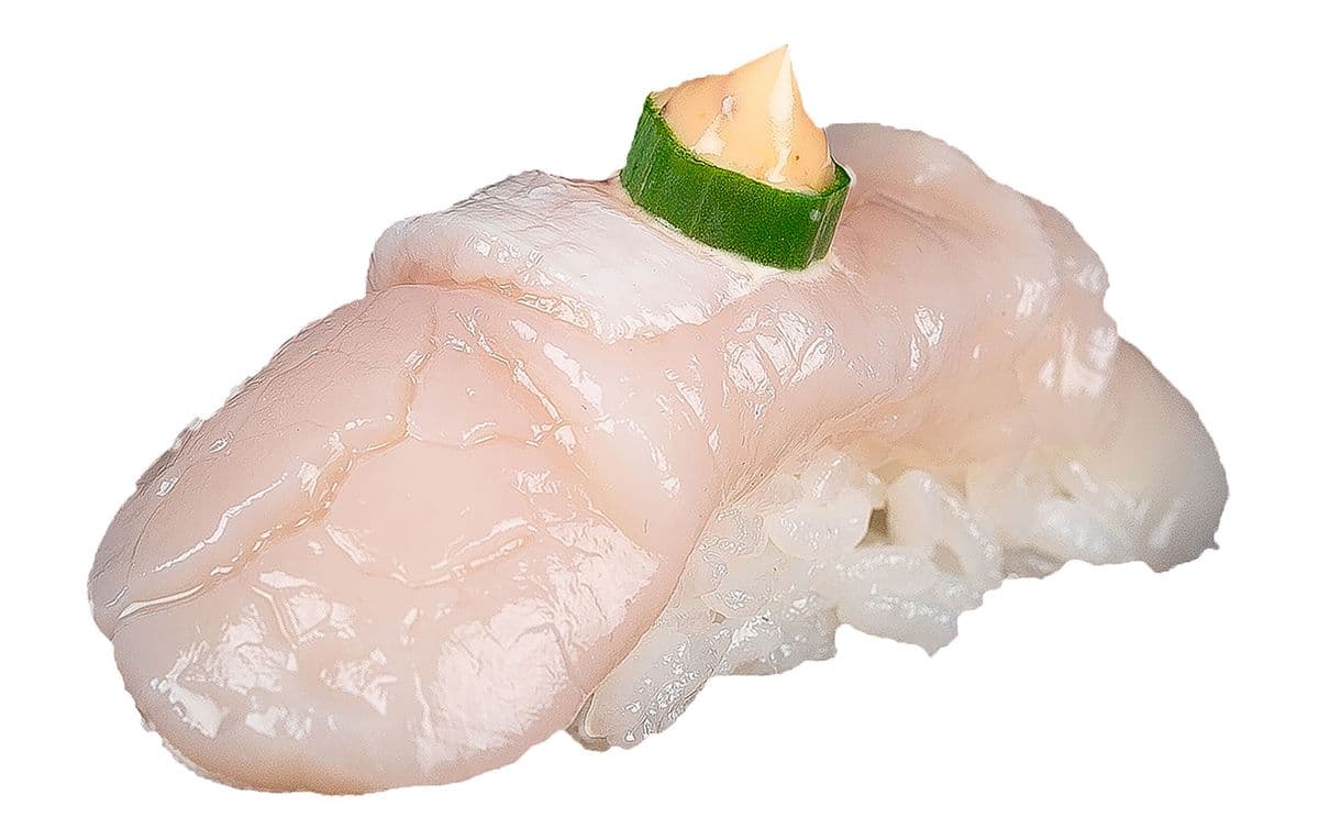 Hotate (Scallop)