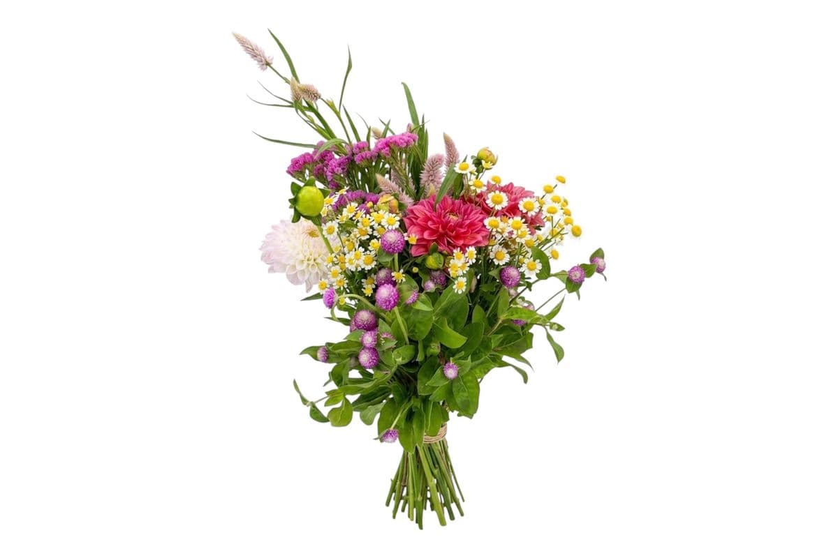 Mix Dahlia Bouquet - Medium