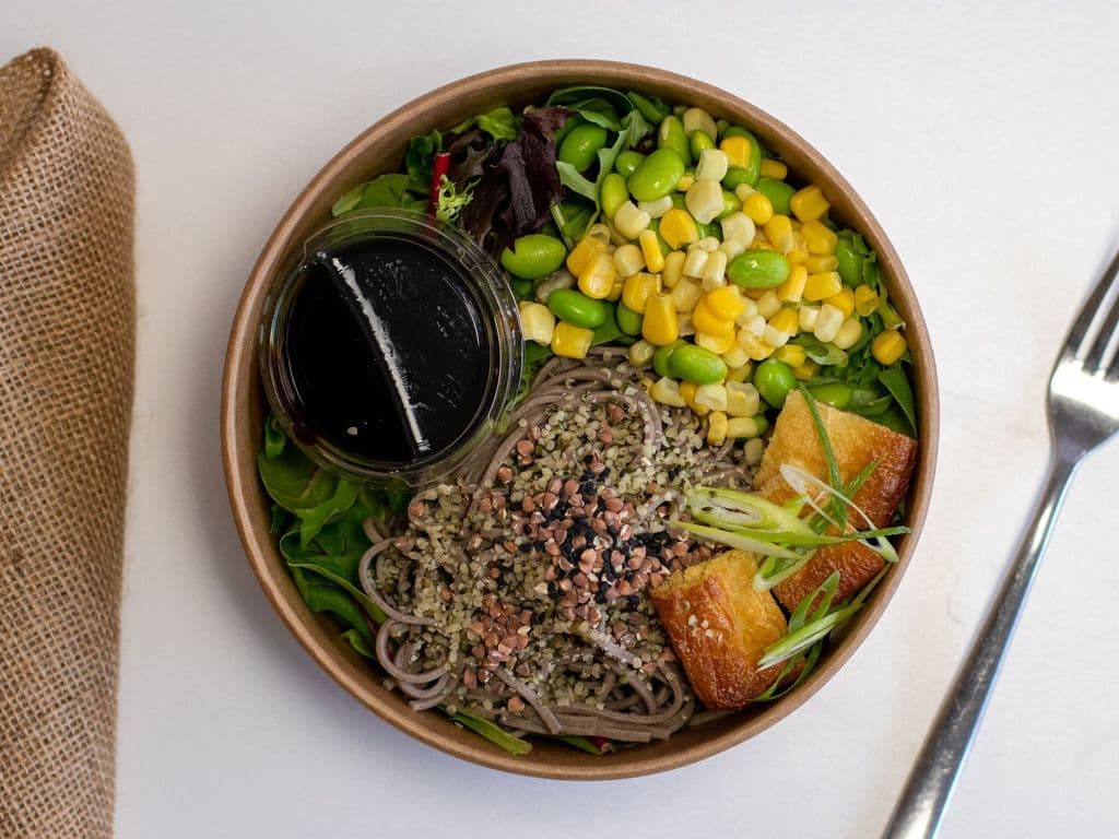 Noodle Salad (V)