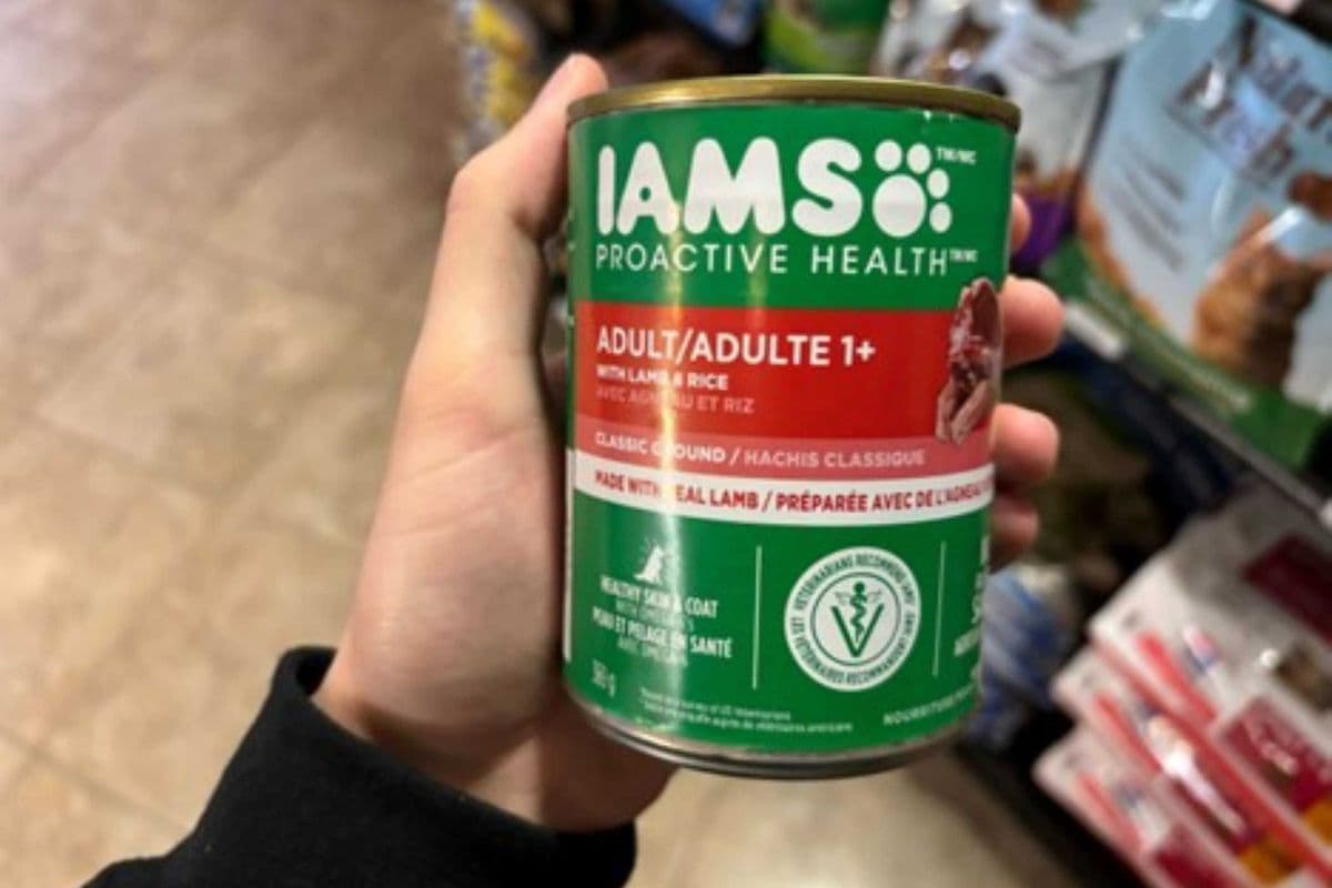 Iams | Canine | Wet | Lamb and Rice | 369gm