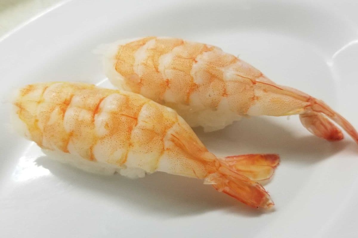 SA15 Ebi
